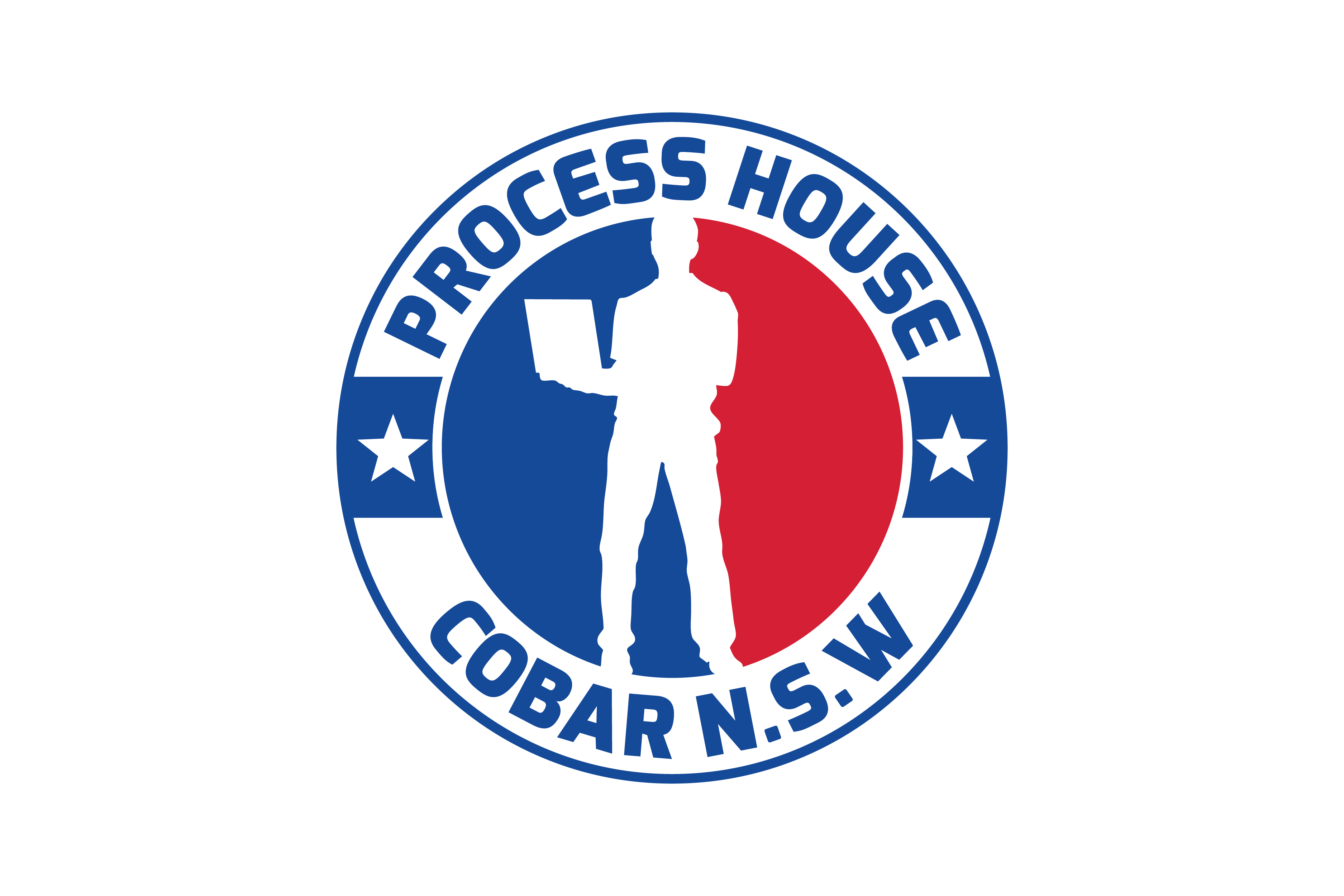 <span>Logo</span>Processhouse Alt
