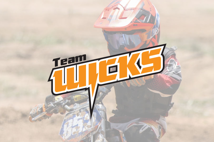 <span>Logo</span> Team Wicks